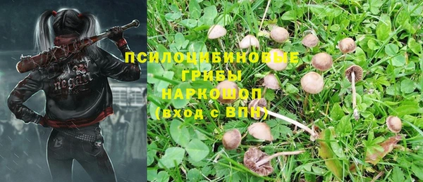 молекула духа Алексеевка