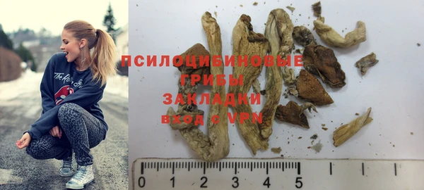 молекула духа Алексеевка