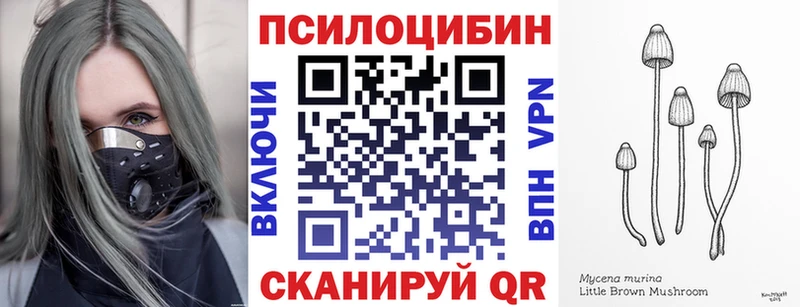 Псилоцибиновые грибы ЛСД гидра как войти Ликино-Дулёво